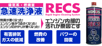 recs rogo-3002